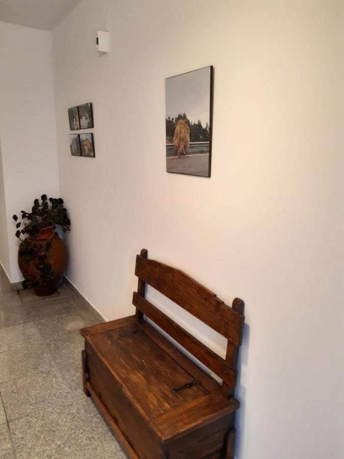 Casa Araci Hotel Vieira do Minho Buitenkant foto